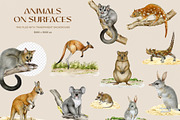 Australia Flora Fauna Clipart, an Animal Illustration by AnitaPol (Thumbnail 11 of 27)