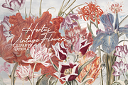 Hortus Vintage Flowers Cliparts, a Decorative Illustration by Lilithcollageart (Thumbnail 12 of 12)