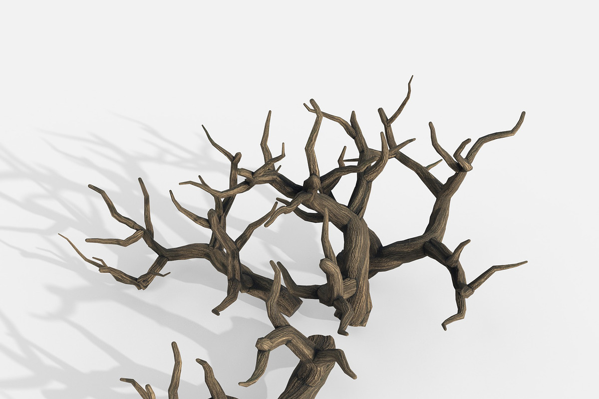 Aquarium Snag Banches V2, an Environmental 3D Model by AndrewWhite (Photo 5 of 8)