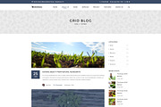 Bonsai - WP Landscapers & Gardeners, a WordPress Template by Knighthemes (Thumbnail 9 of 16)