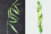 Watercolor Happy Sukkot set, an Illustration by DollyPotterson (Thumbnail 6 of 6)
