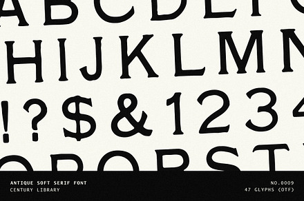 Bold Vintage Serif Font - No.09