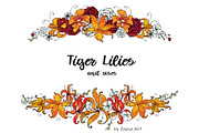 Tiger Lilies & Roses - clip-art, an Illustration by Zooza Art (Thumbnail 15 of 15)