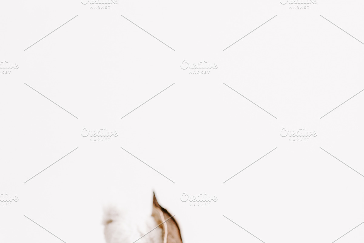 Neutral Stationary Styled Photos, a Templates & Theme by JanaBishopCollection (Photo 9 of 10)