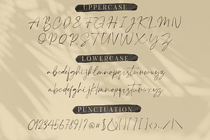 Plumrose Signature Script Font