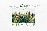 Imata Script, a Script Font by FadeLine Studio (Thumbnail 3 of 6)