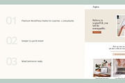 Aspire WordPress Theme, a WordPress Template by KOBA themes (Thumbnail 4 of 6)