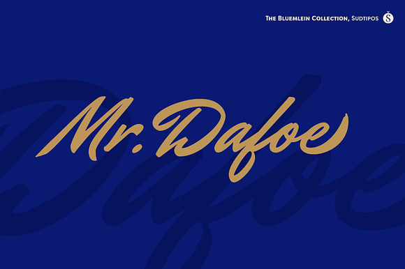 Mr Dafoe Pro preview 7