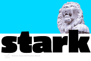 Schuss Sans CG Poster Black, a Sans Serif Font by typic schuss (Thumbnail 12 of 15)
