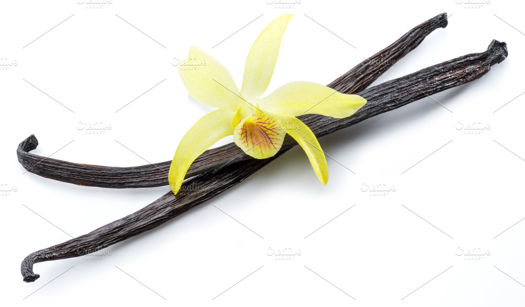 Dried vanilla pods and orchid, a Photo by Volff