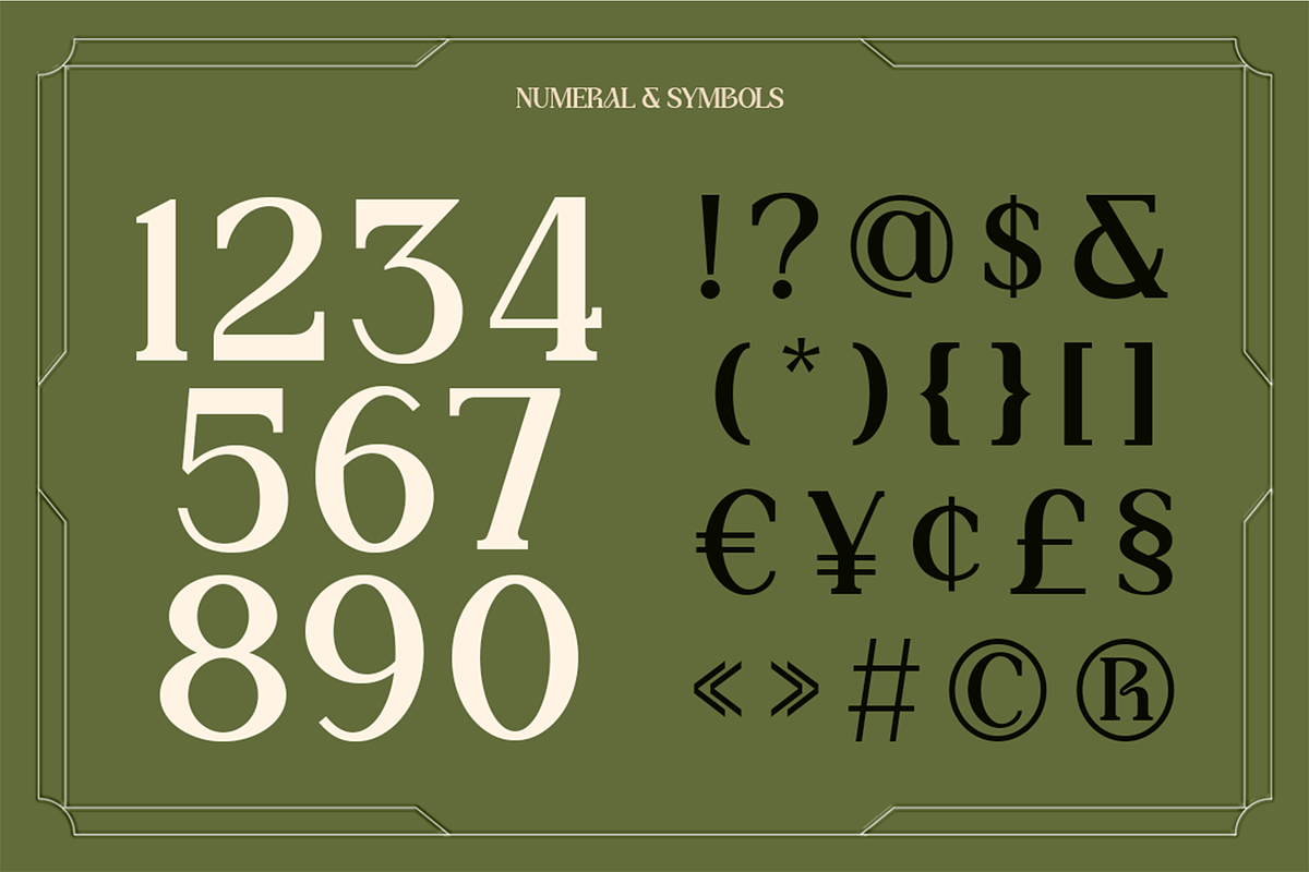 Aigos - Elegant Serif Display Font, a Serif Font by Pekotype (Photo 4 of 15)