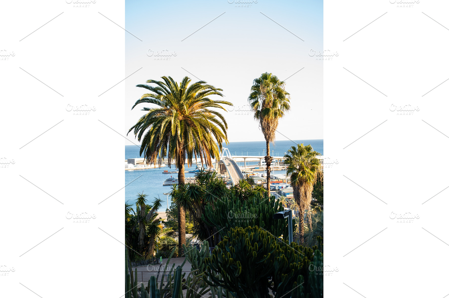 Barcelona tropical scene with, a Nature Photo by volodymyrshtun13795