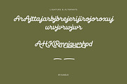Beach Grove - Script Monoline Font, a Script Font by Elmous (Thumbnail 11 of 11)