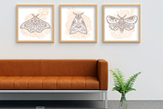 Butterfly & flowers, a Decorative Illustration by Katika Shop (Thumbnail 8 of 9)