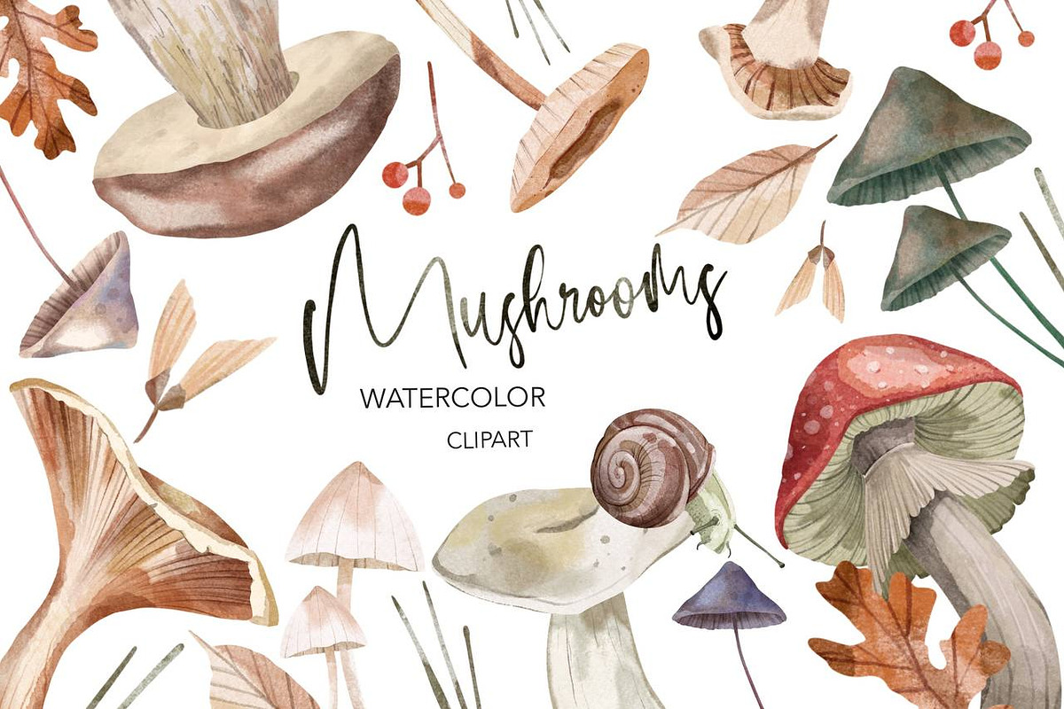Watercolor Mushrooms Clipart, a Decorative Illustration by NKTKNS (Photo 1 of 6)