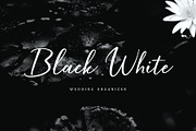 Hardwired Script - UPDATE, a Script Font by FadeLine Studio (Thumbnail 10 of 13)