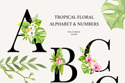 Tropical Elegance. Watercolors, a Decorative Illustration by Liliia Polos Illustration (Thumbnail 9 of 12)