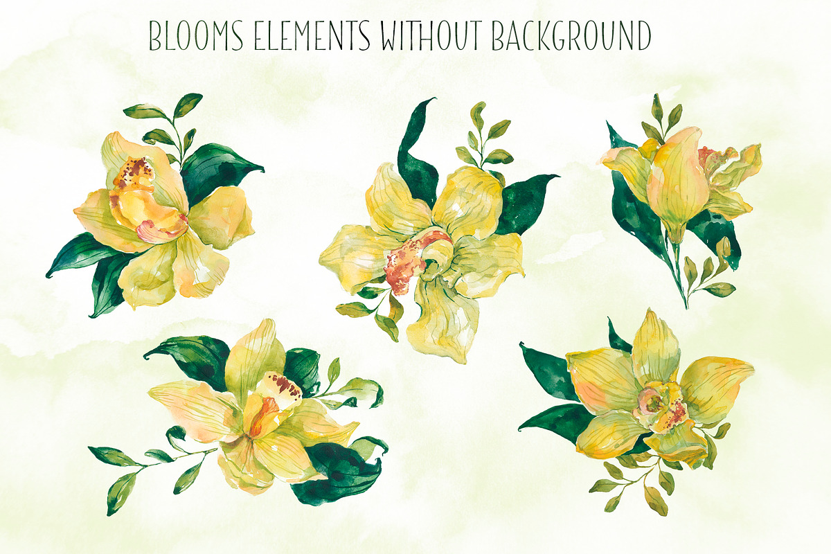 Watercolor yellow orchid blooms, an Illustration by Re_Margarita_Art (Photo 2 of 7)