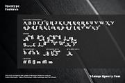 Vintage Rovery, a Serif Font by Vintage Division (Thumbnail 10 of 10)