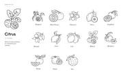 180 Botanical Ingredient Line Icons, an Outline Icon by Ilia Design (Thumbnail 5 of 13)