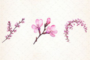 Spring Redbud Flower Clipart, an Illustration by Libby Wishes (Thumbnail 5 of 7)
