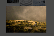 Floro Tumblr Photo Theme, a Websites & App Template by Dabu Themes (Thumbnail 8 of 9)