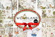 Woodland animals Bundle 2000, an Animal Illustration by 60secondsArt (Thumbnail 1 of 13)