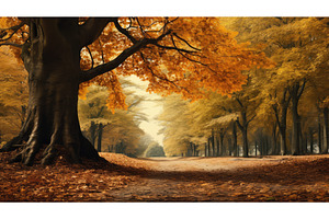 forest tree beautiful leaves, a Nature Photo by pikepicture
