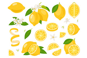 Fresh citrus fruits. Yellow juicy, a Food Illustration by YummyBuum