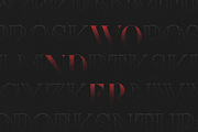 Wonder Type - high-end serif font, a Serif Font by VP Fonts (Thumbnail 10 of 20)