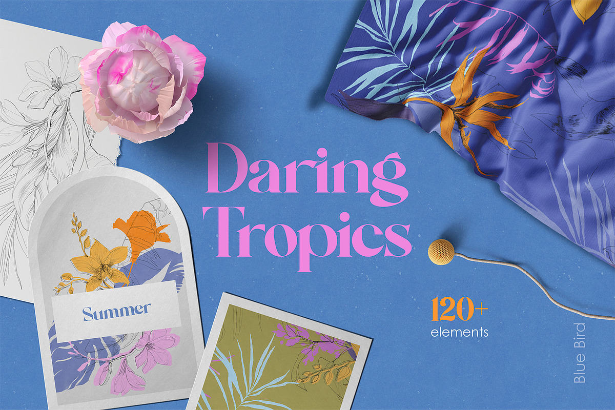 Daring Tropics. Summer Collection, an Object Illustration by Colden Blue (Photo 1 of 12)