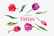 Tulips PNG watercolor flower set, a Seasonal Illustration by WatercolorPNG.com (Thumbnail 7 of 7)