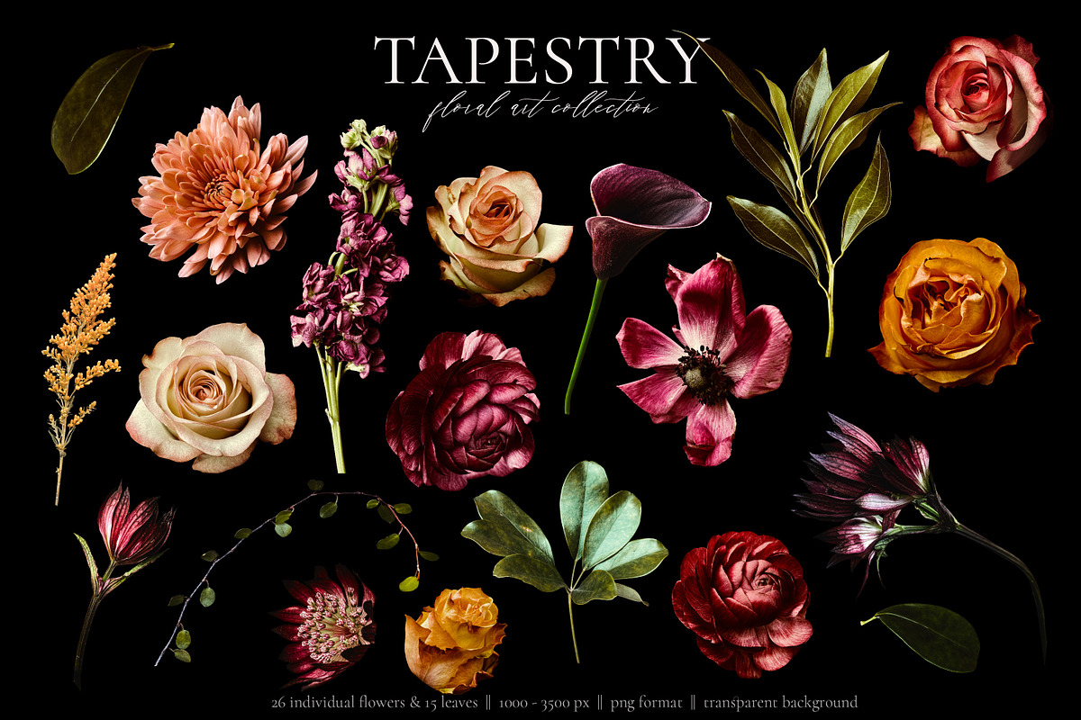 Tapestry Floral Art Collection, an Object Graphic by Eclectic Anthology (Photo 15 of 18)