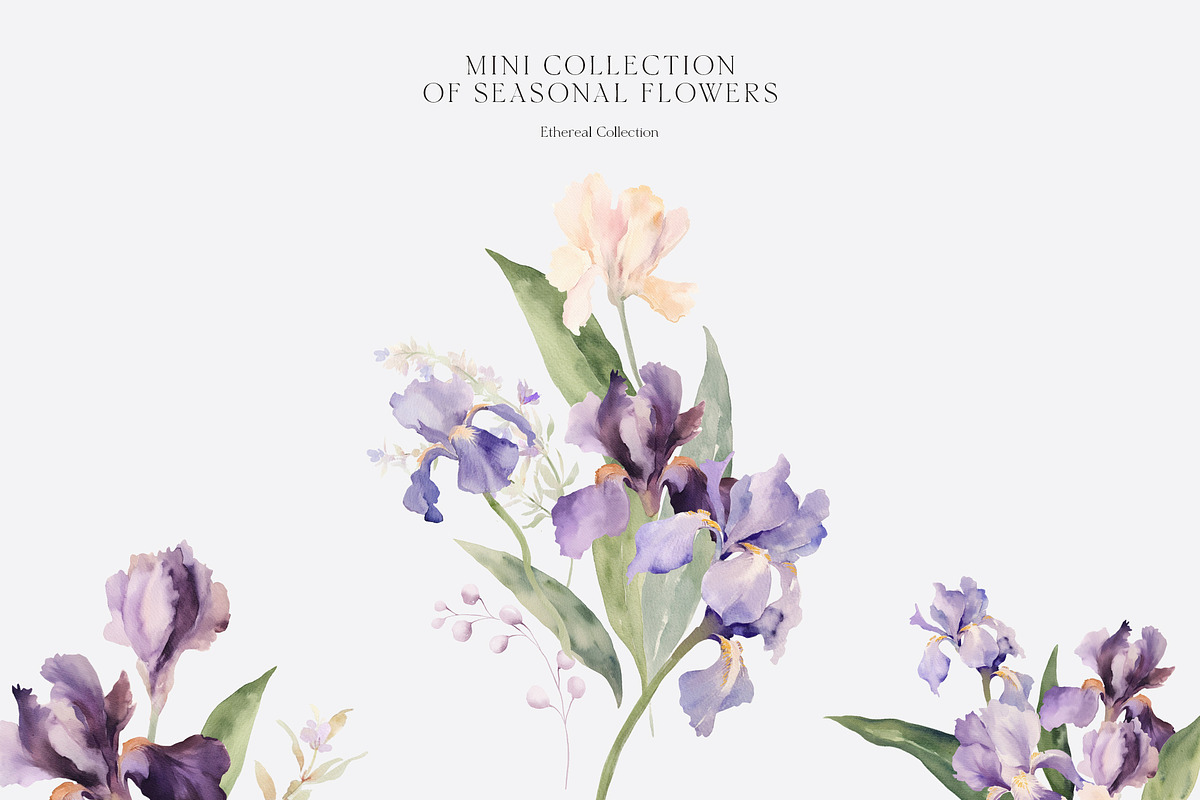 SPRING BOX Watercolor Bundle 400+, a Decorative Illustration by Muse Artist (Photo 78 of 99)