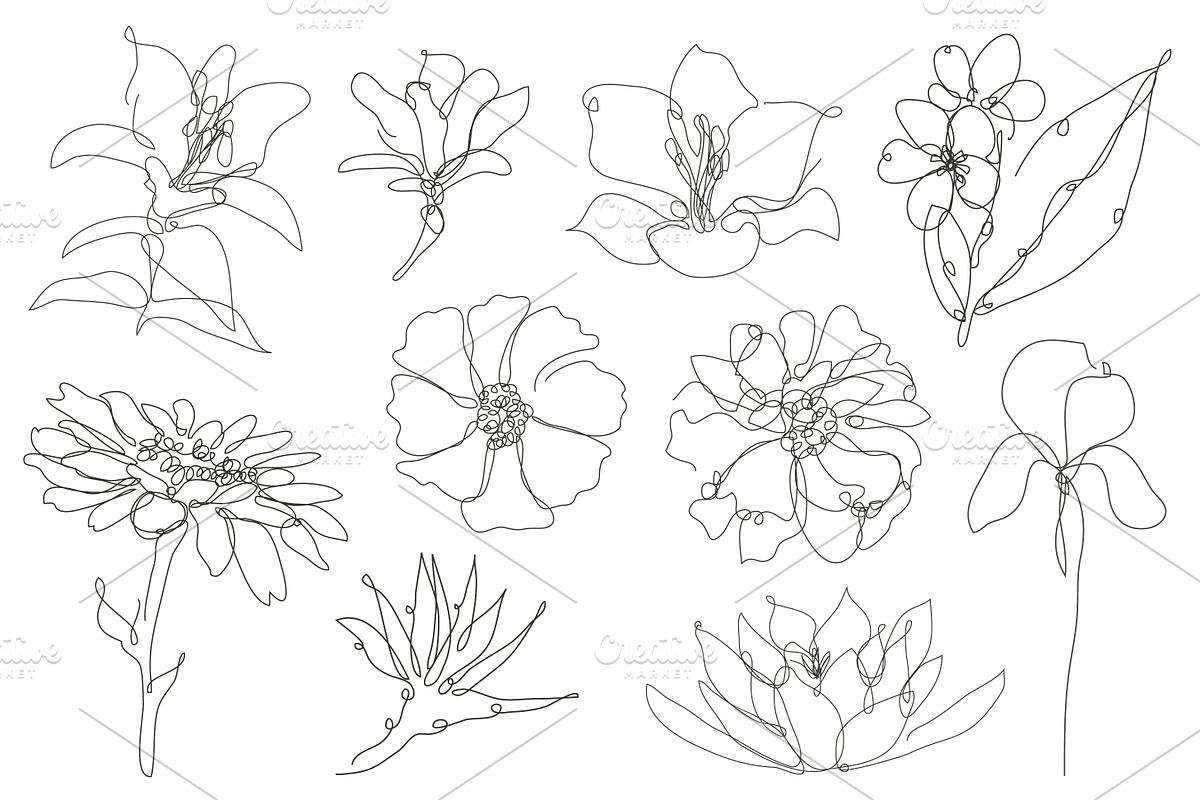 71 Flowers Continuous Line Set, a Decorative Illustration by Sunset&Sea Design (Photo 4 of 8)