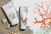 Sea plants watercolor collection, an Illustration by Kate Lanbina (Thumbnail 10 of 18)