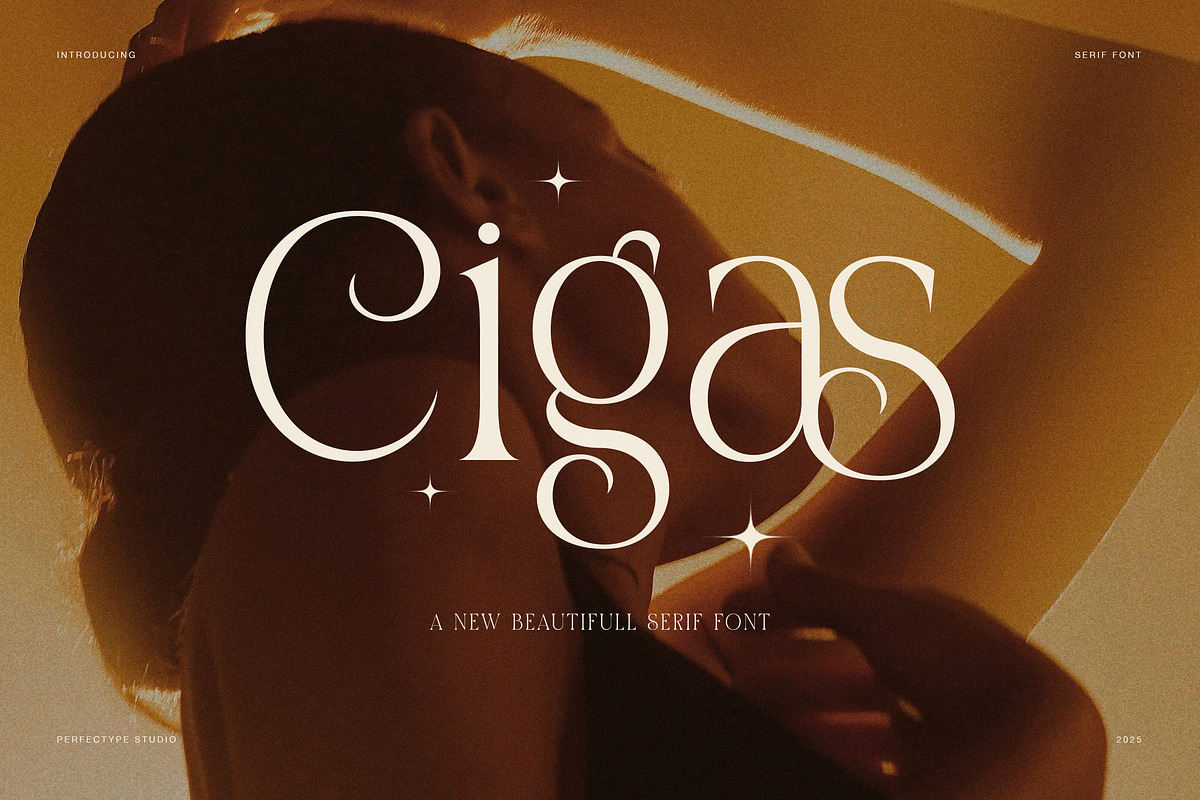 Cigas Elegant Serif Font, a Serif Font by Perfectype (Photo 1 of 8)