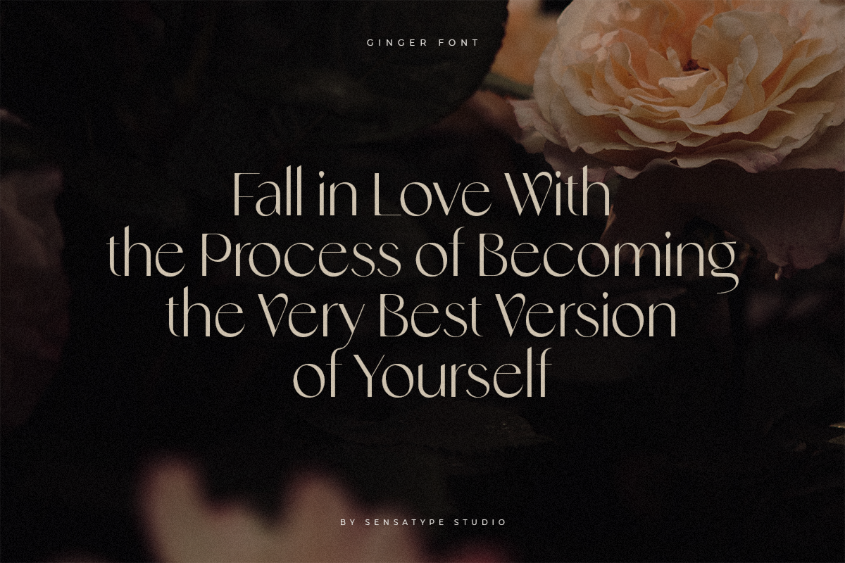Ginger - Modern Stylish Font, a Sans Serif Font by Sensatype (Photo 18 of 20)