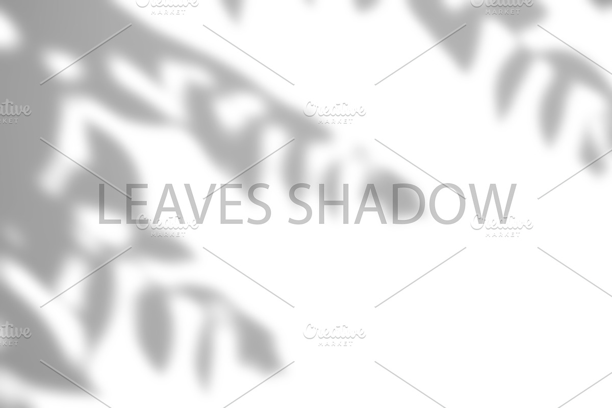 Leaves Shadow on Wall Background., a Background Graphic by kaisorn (Photo 2 of 8)