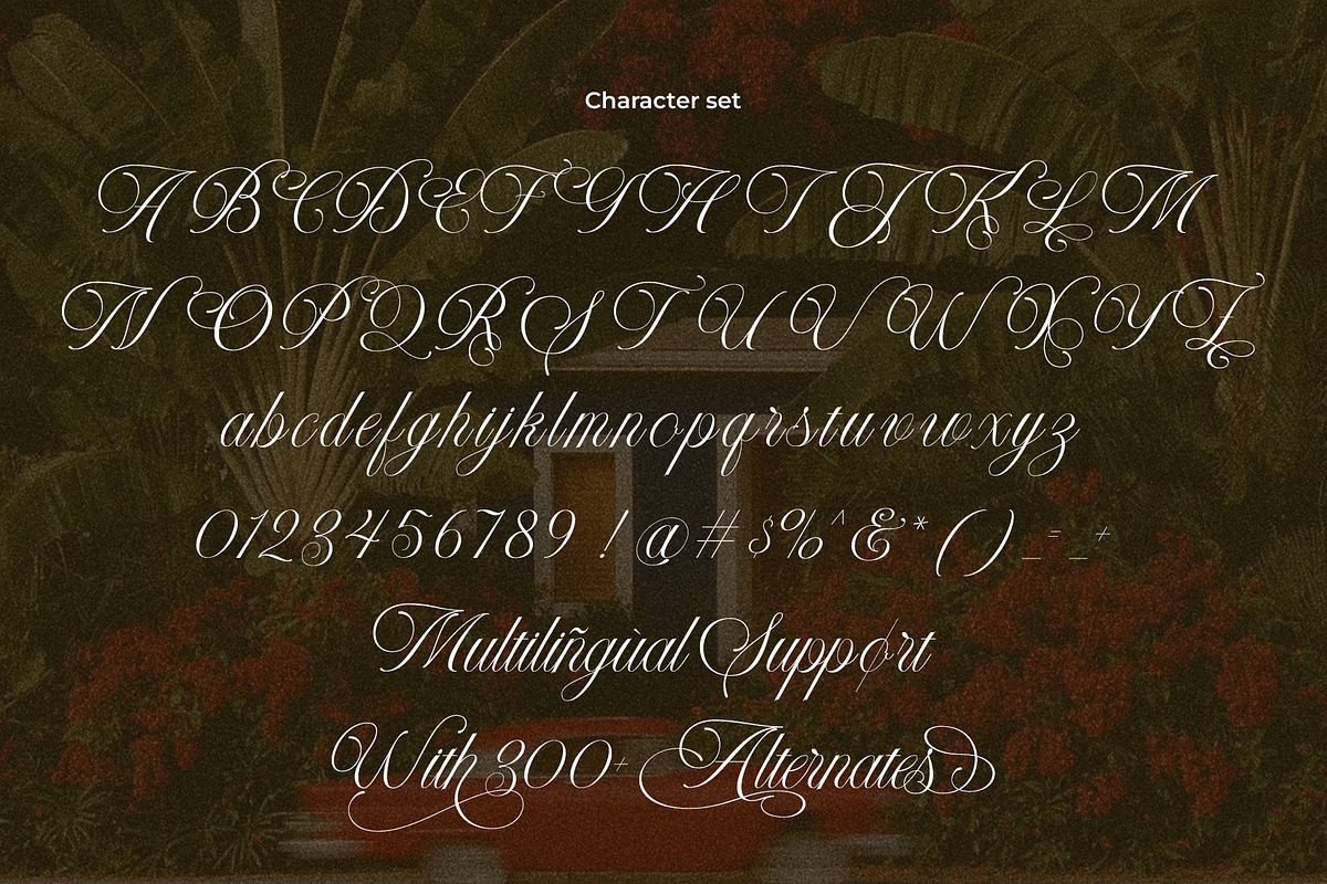 LT Nouvelle Jardin – Romantic Script, a Script Font by Luminotype (Photo 10 of 10)