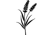 Decorative Tribal Feather Vector, an Object Graphic by Designer_Momina (Thumbnail 6 of 18)
