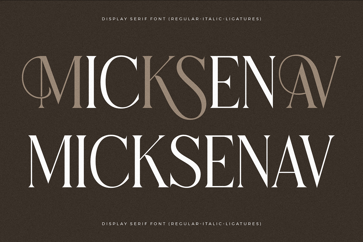 Micksenav Display Serif Font, a Serif Font by Storytype Studio (Photo 1 of 15)