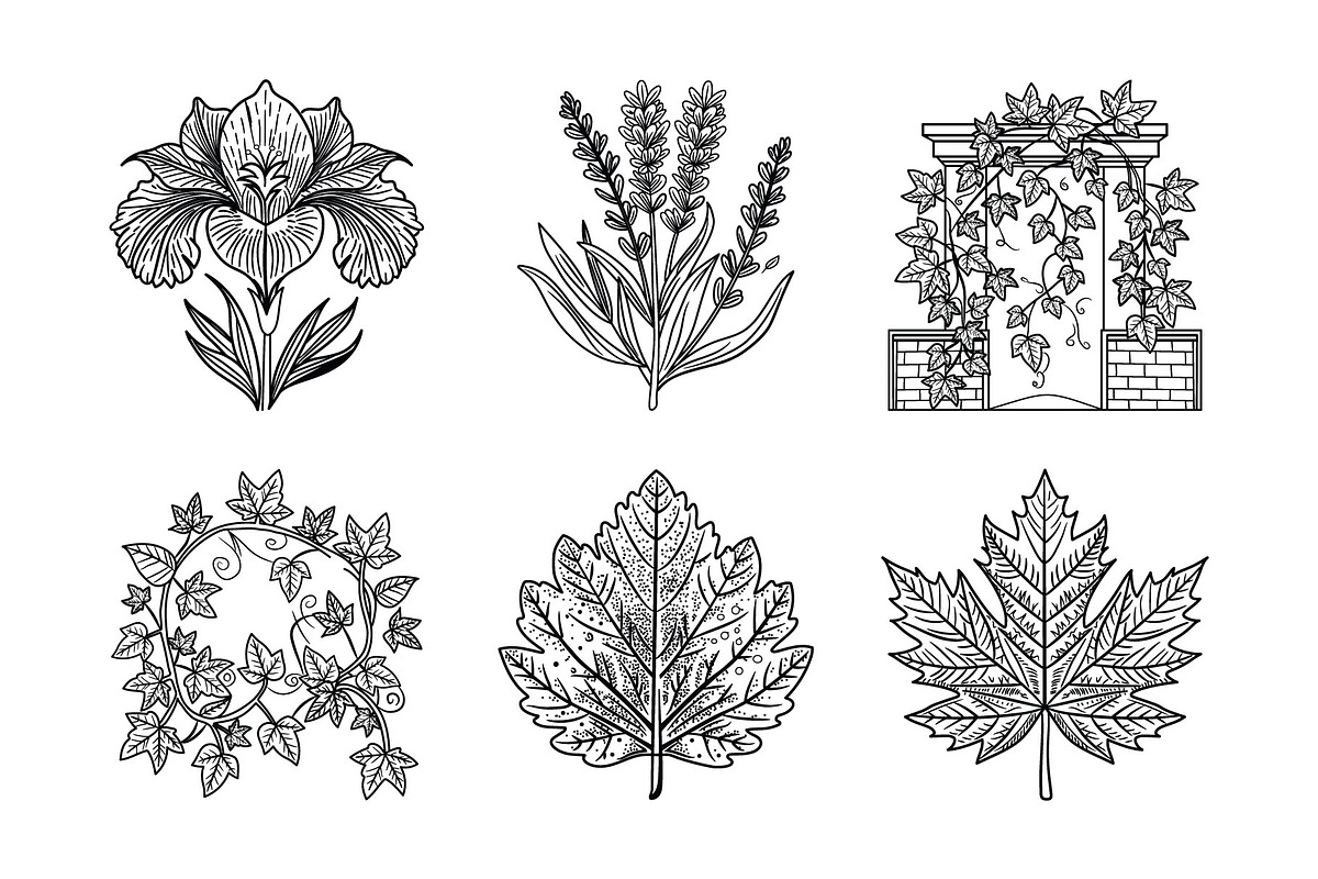 Elegant Plants and Flowers, an Icon by Vector Portal (Photo 4 of 4)
