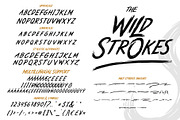 Wild Strokes, a Font by R4DS (Thumbnail 12 of 12)