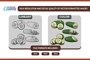 Cucumber Vegetables Vector Set, an Illustration by vectstudio (Thumbnail 2 of 3)