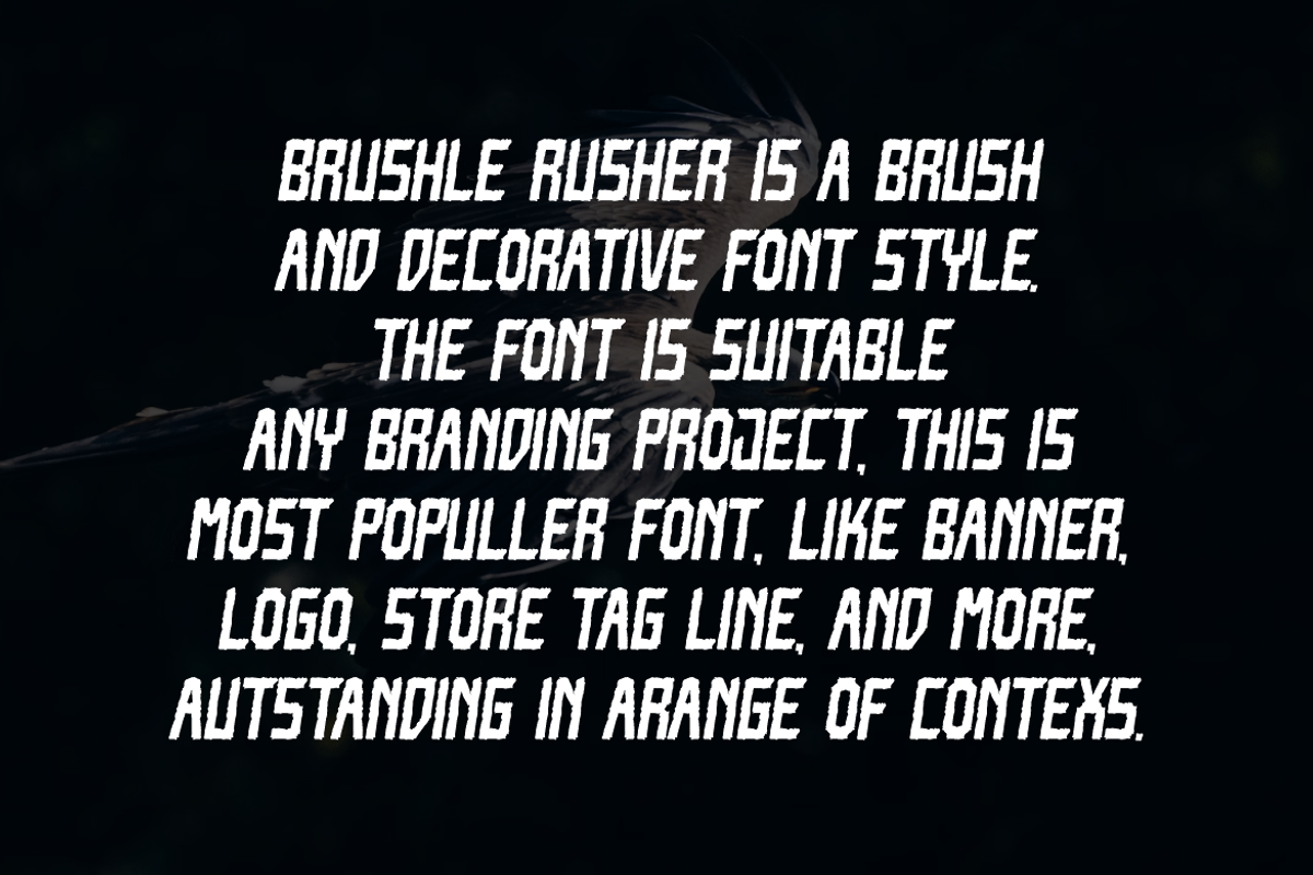 Brushle Rusher, a Handwritten Font by QR Design Studio (Photo 2 of 6)