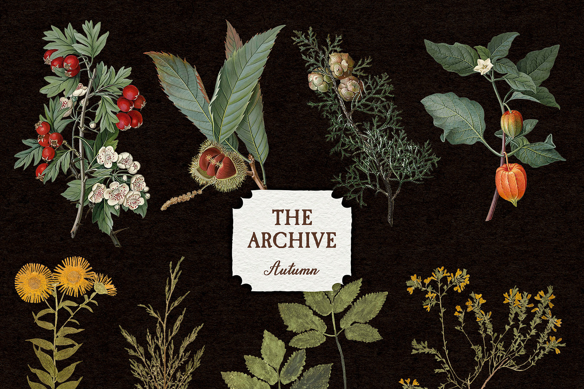 The Archive, Autumn | Vintage Kit, a Texture Graphic by GVGraphics (Photo 16 of 16)