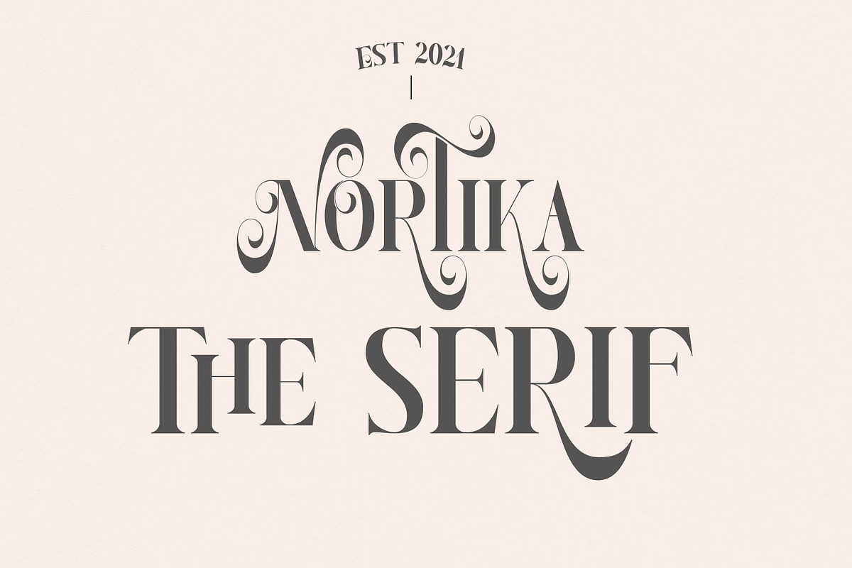 Nortika Serif Vintage Display, a Serif Font by LuhopCreative (Photo 13 of 13)
