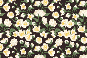 Jasmine Flowers Seamless Patterns