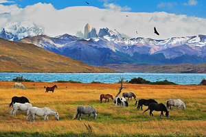 Magical landscape
